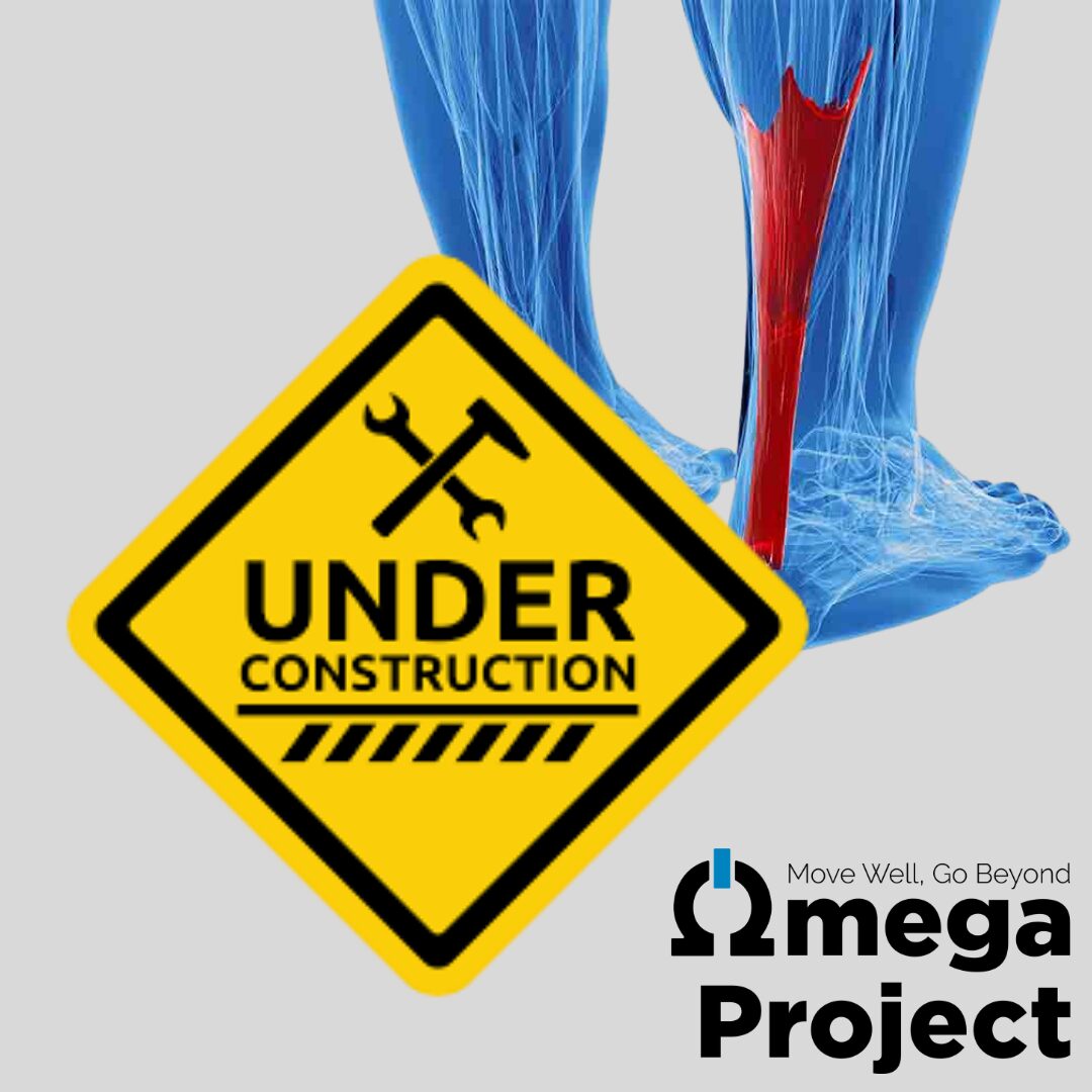 Injury Rehab Progression - Tendon Healing