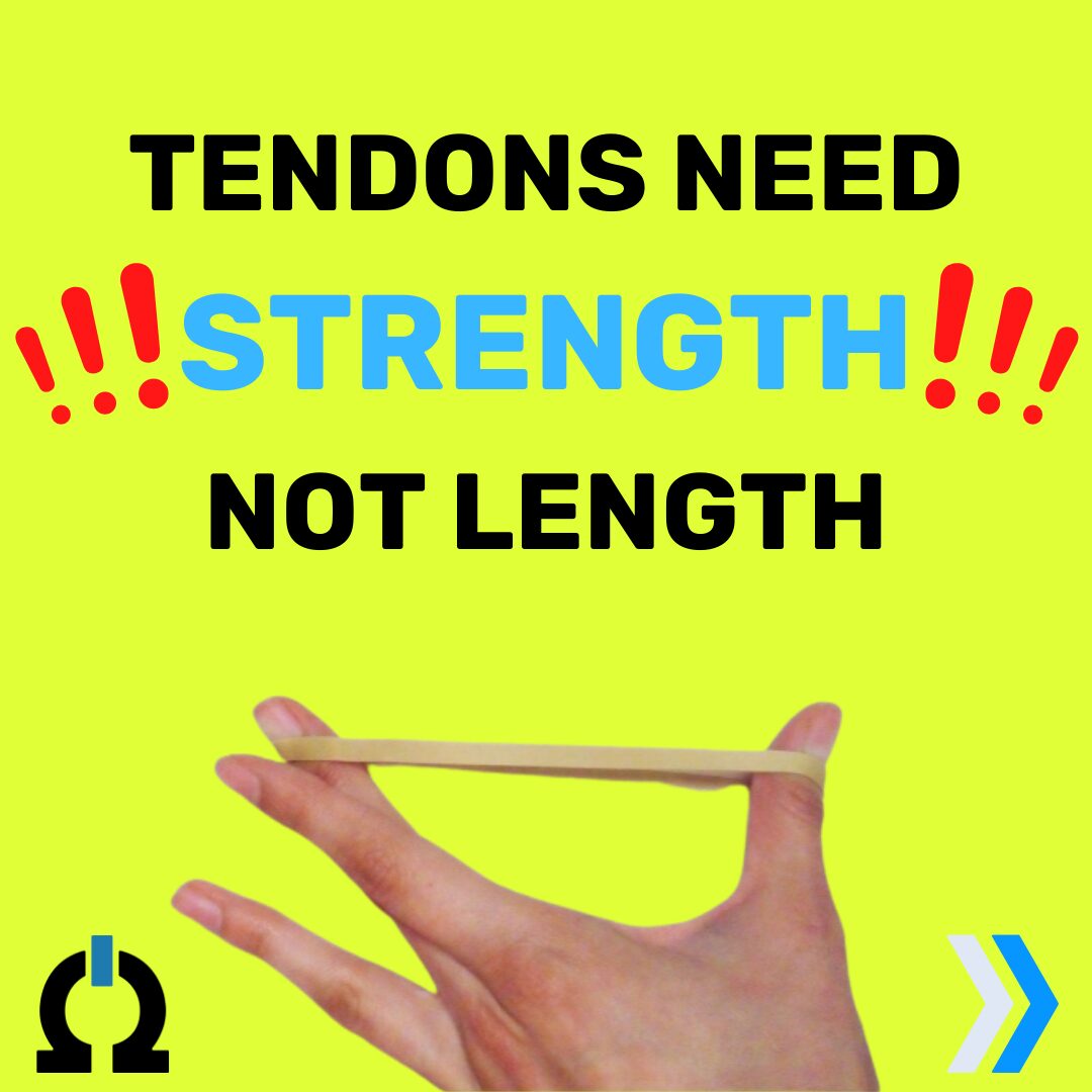 Tendons Need Strength, Not Length