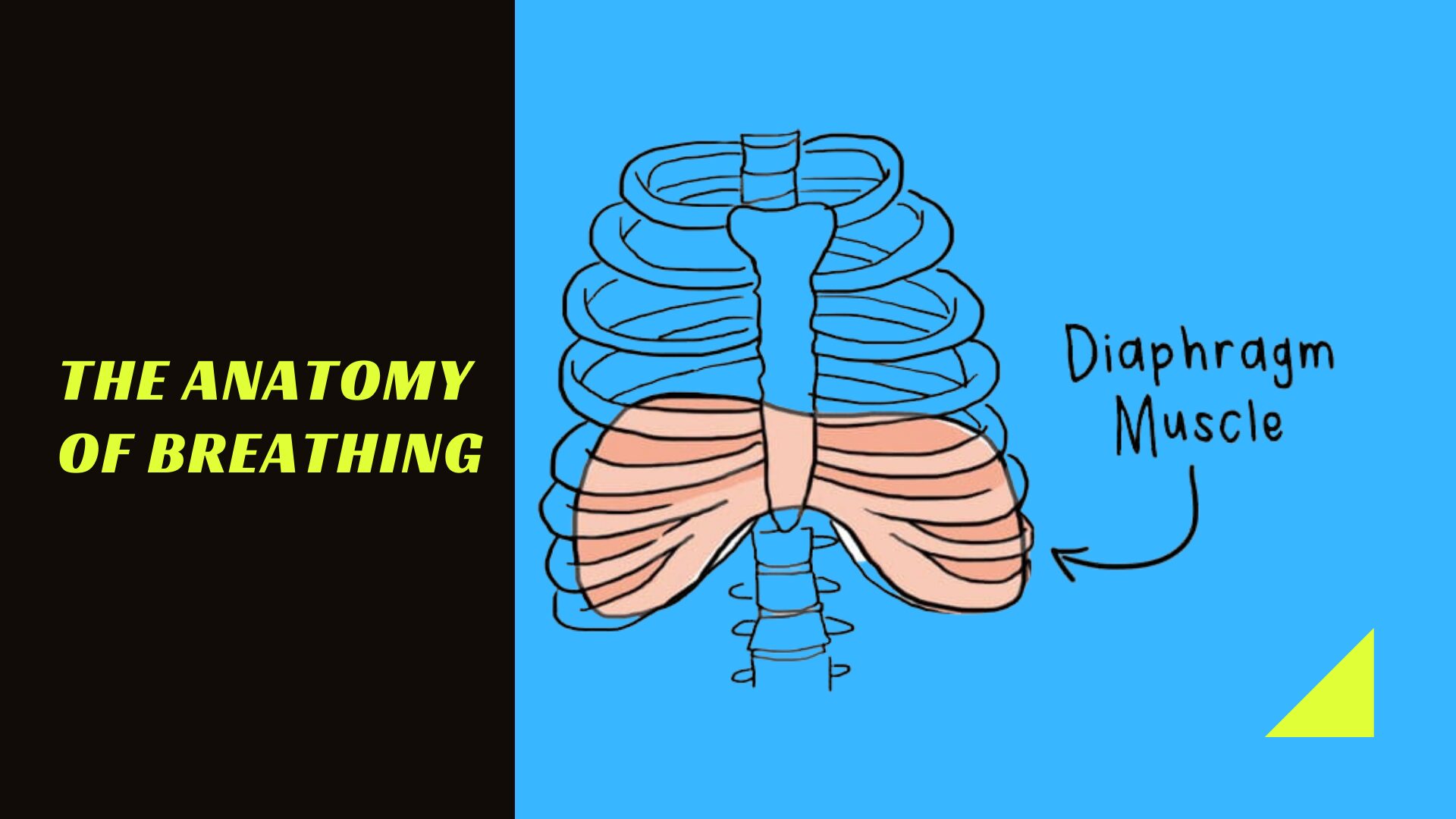 Breathing-for-Core-Stability2